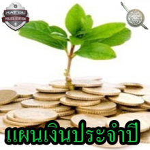 O17 แผนเงินประจำปี